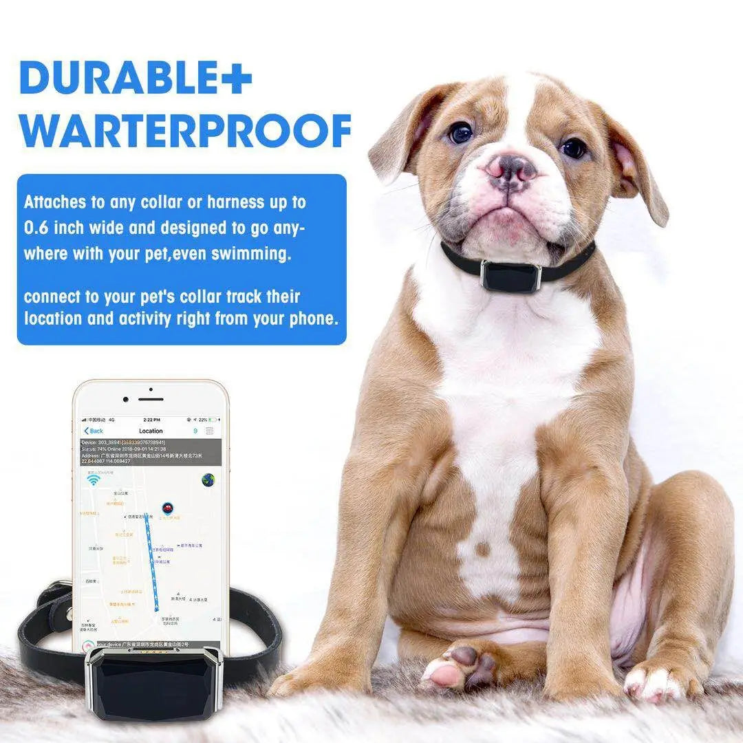 GPS Smart Pet Tracker Collar for Dogs Cats Waterproof Real-Time Location Anti-Loss Device Free App Notification for Puppy Kitten