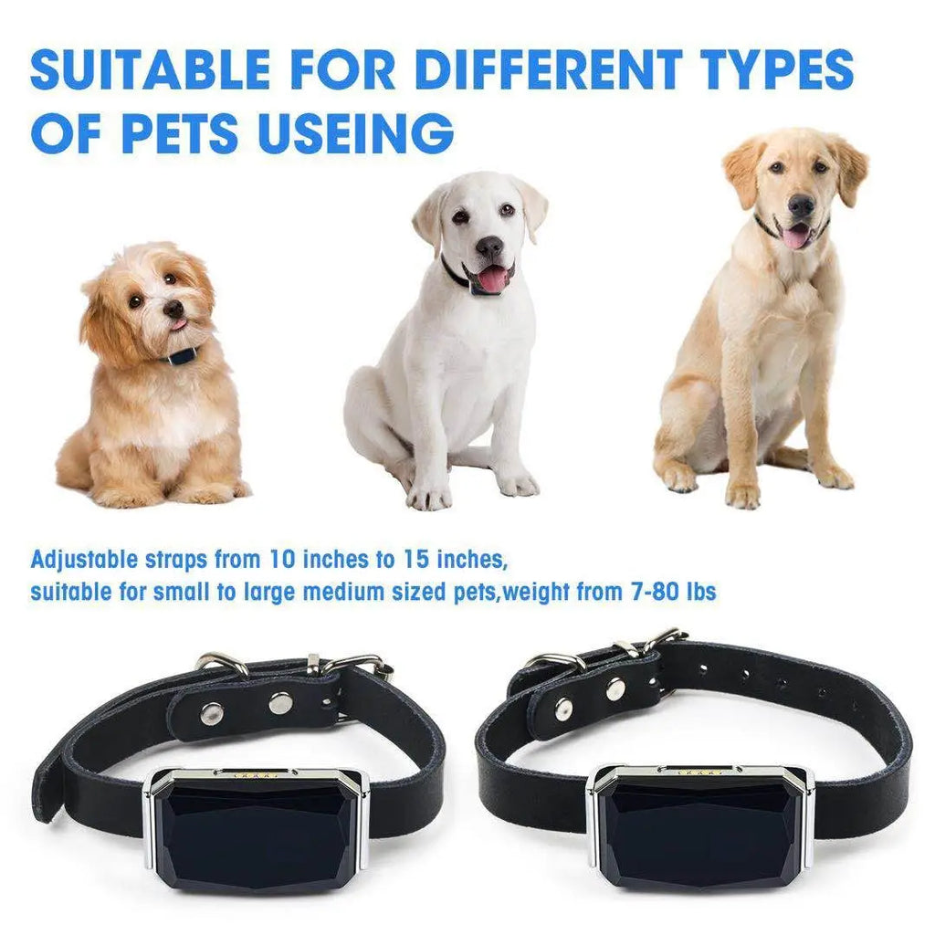 GPS Smart Pet Tracker Collar for Dogs Cats Waterproof Real-Time Location Anti-Loss Device Free App Notification for Puppy Kitten